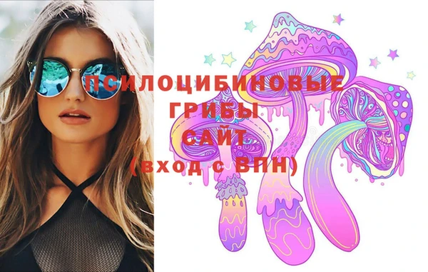 шишки Баксан