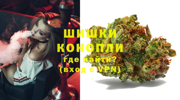 шишки Баксан