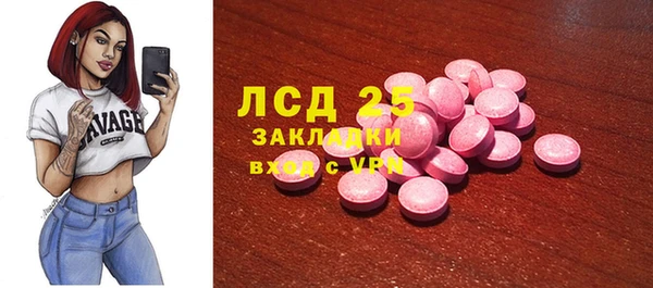 шишки Баксан