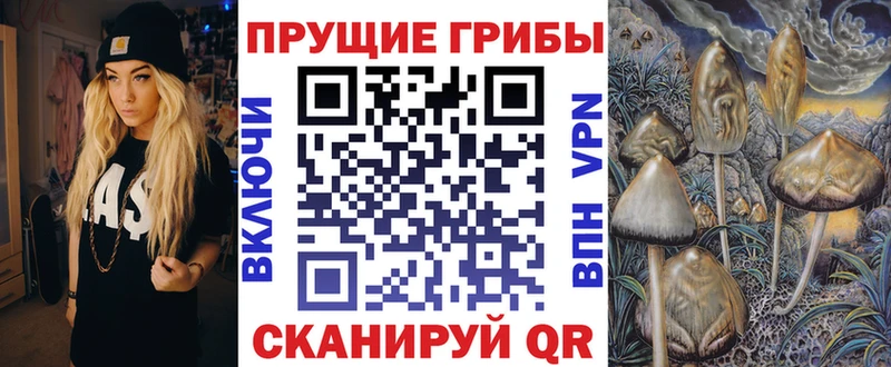Галлюциногенные грибы Cubensis  mega ссылка  это формула  где продают   Обоянь 
